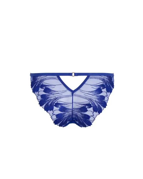 Colette Panty - Surf the Web Blue -