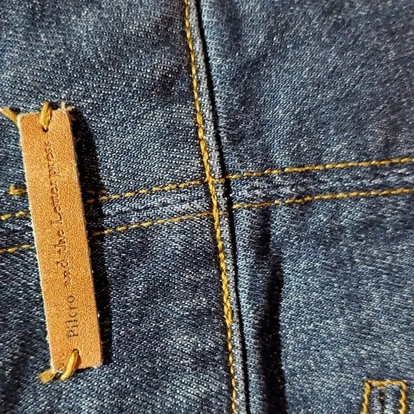 DENIM PILCRO ANTHROPOLOGIE JEANS CROPPED ANKLE SIZE 29