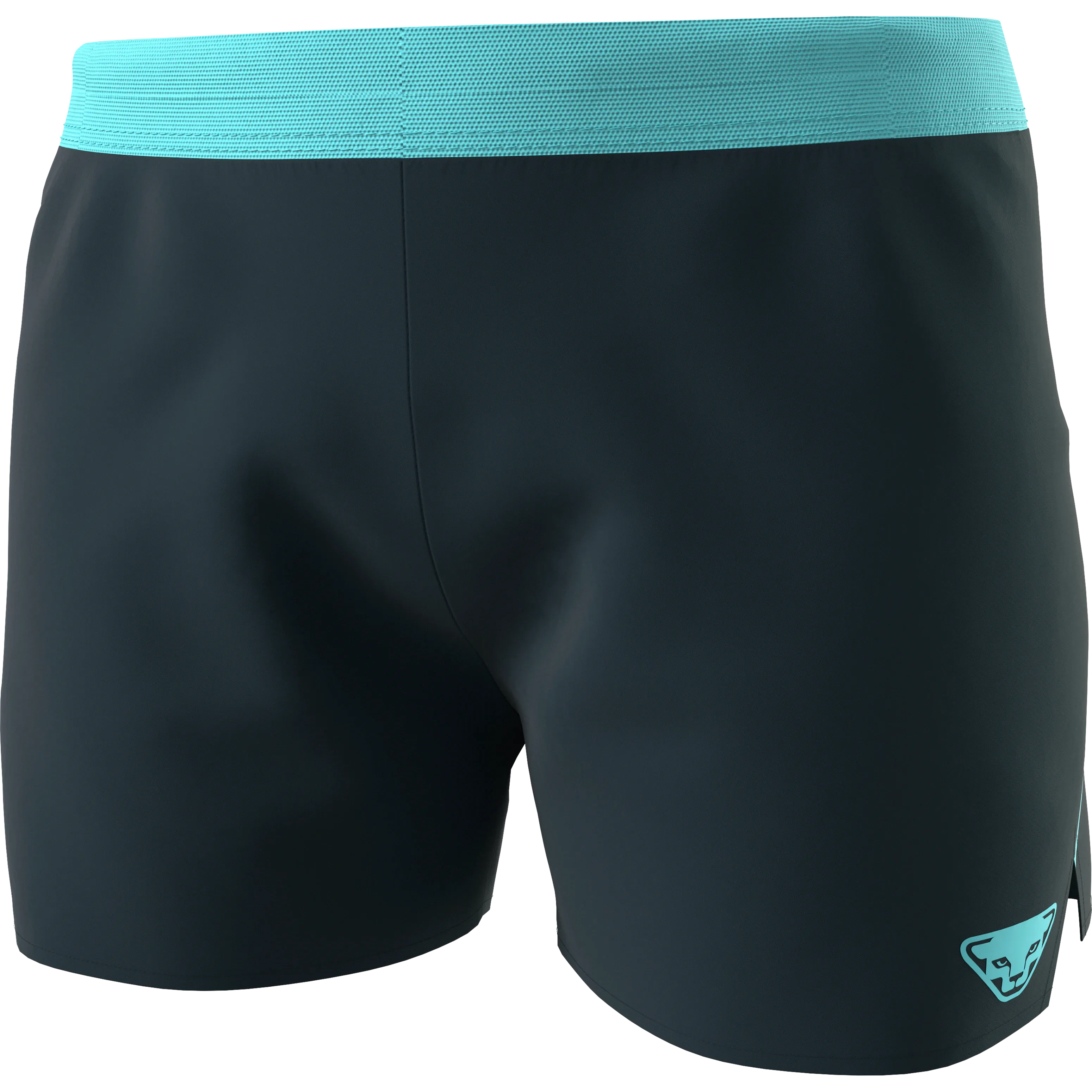 Dynafit Alpine Shorts (Women's)