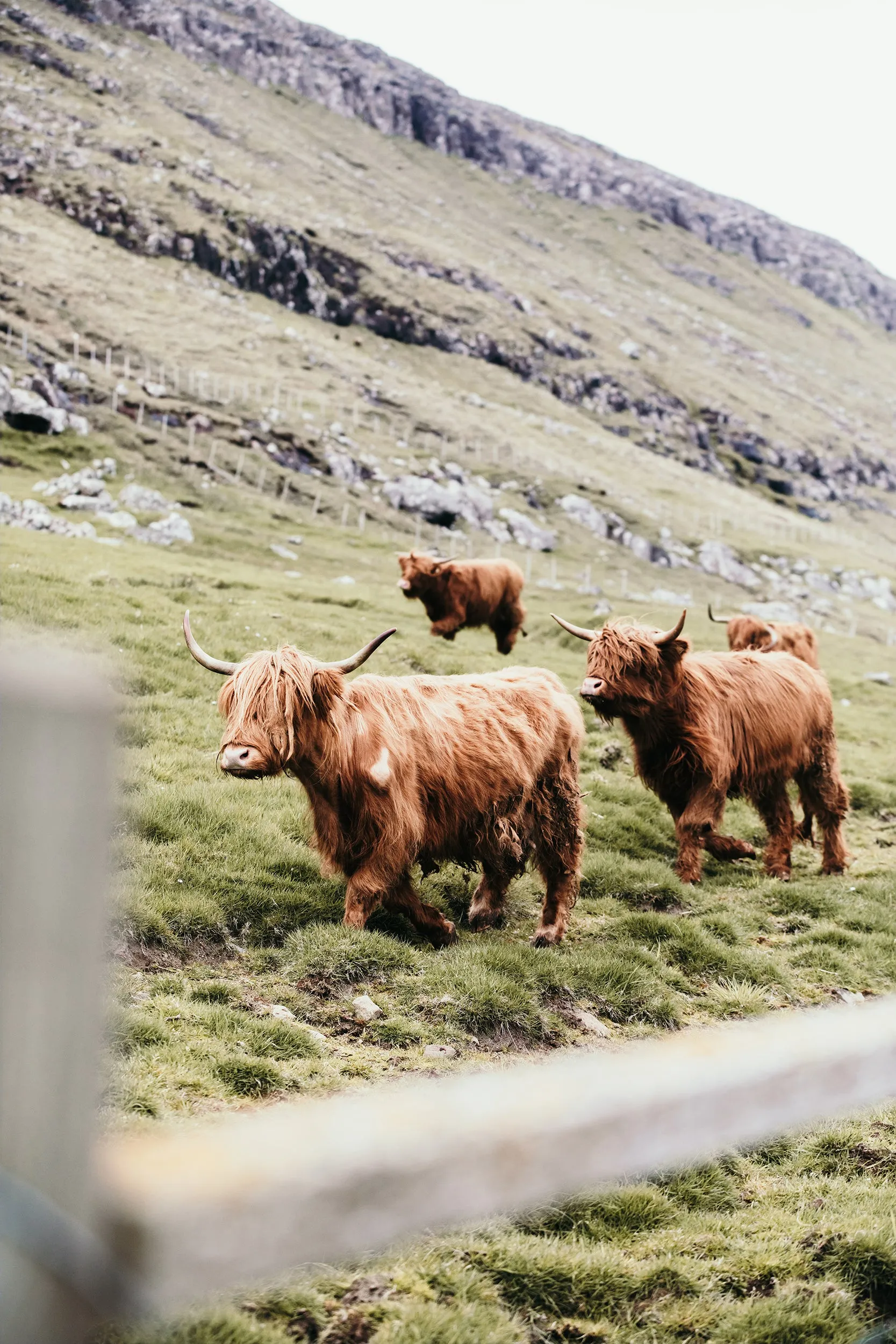 Faroe Highlands