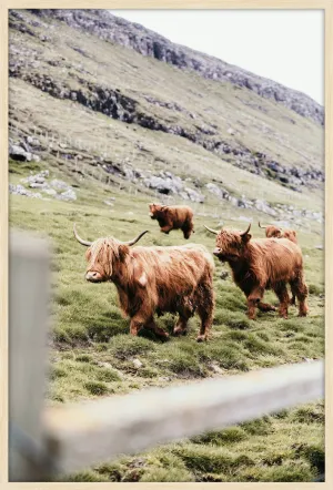 Faroe Highlands