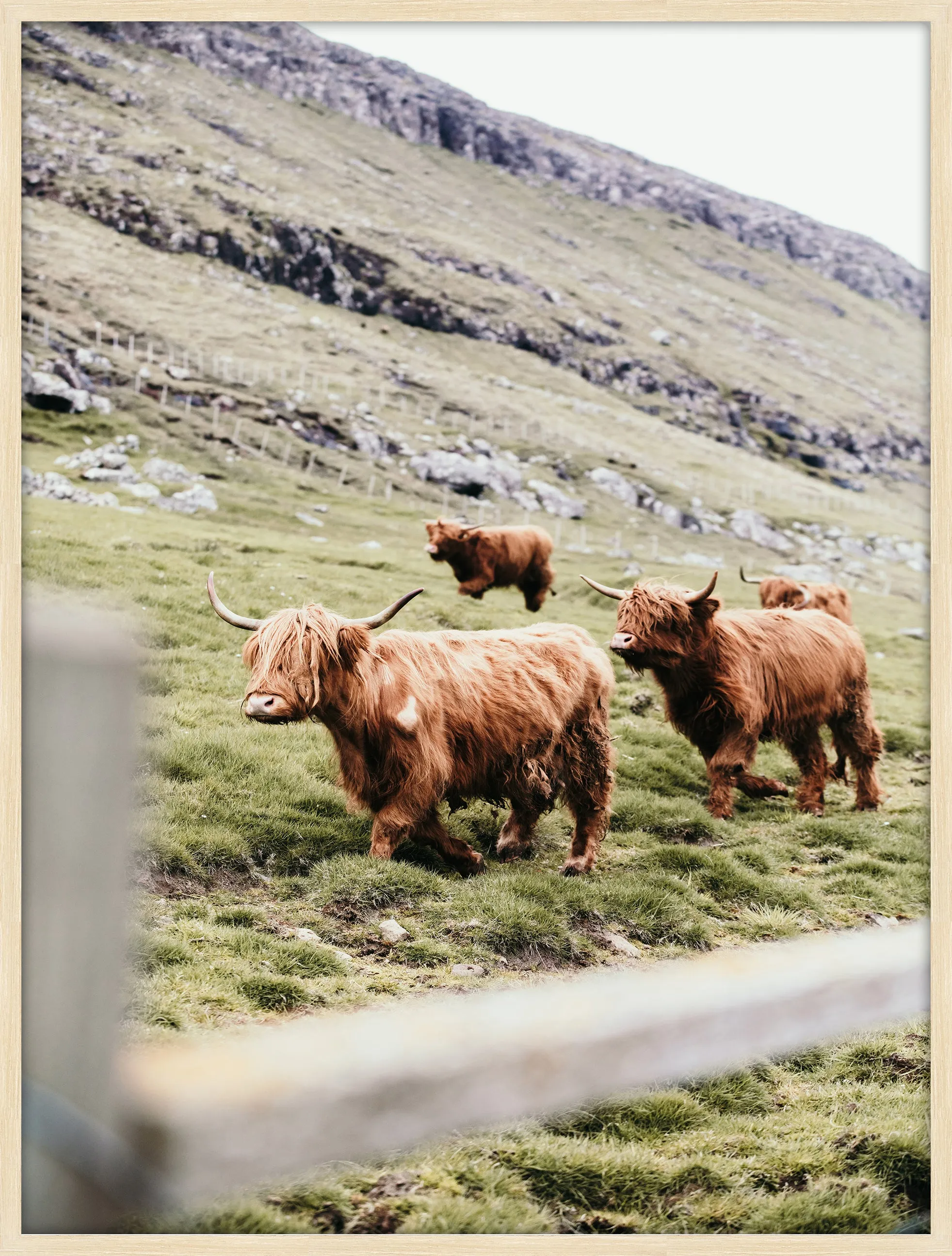 Faroe Highlands