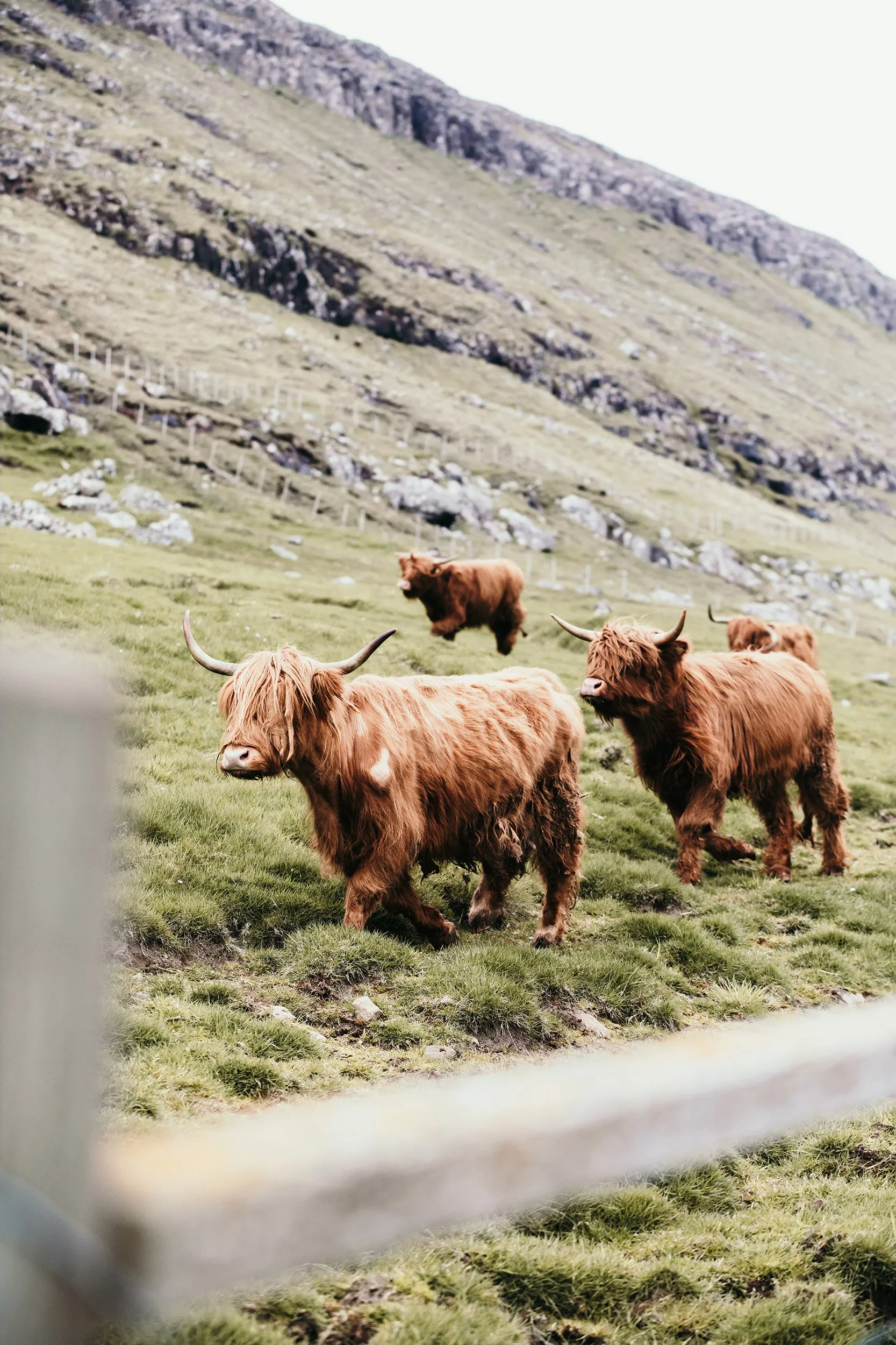 Faroe Highlands