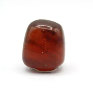 Indonesian Amber Specimen